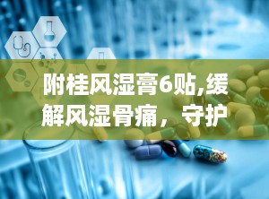 附桂风湿膏6贴,缓解风湿骨痛，守护关节健康