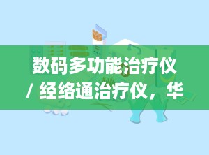 数码多功能治疗仪/ 经络通治疗仪，华洋经脉通数码治疗仪