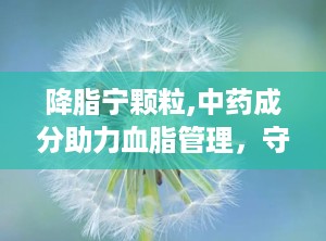 降脂宁颗粒,中药成分助力血脂管理，守护心血管健康”