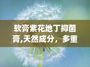 软膏紫花地丁抑菌膏,天然成分，多重功效，守护肌肤健康