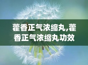 藿香正气浓缩丸,藿香正气浓缩丸功效与使用指南”