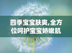 四季宝宝肤爽,全方位呵护宝宝娇嫩肌肤的四季护理秘籍”