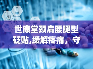世康堂颈肩腰腿型砭贴,缓解疼痛，守护健康生活