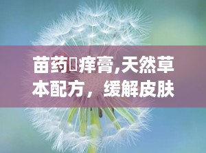 苗药癬痒膏,天然草本配方，缓解皮肤瘙痒，守护健康肌肤”