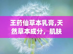 王药仙草本乳膏,天然草本成分，肌肤健康守护者”