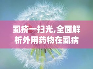 虱疥一扫光,全面解析外用药物在虱病和疥疮治疗中的应用