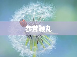 参茸鞭丸