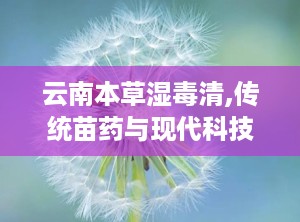 云南本草湿毒清,传统苗药与现代科技的完美融合