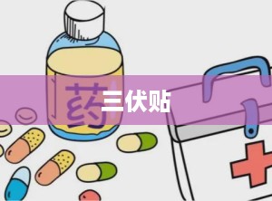 三伏贴
