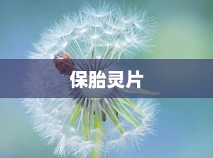保胎灵片