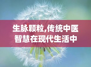 生脉颗粒,传统中医智慧在现代生活中的养生秘方”