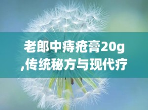 老郎中痔疮膏20g,传统秘方与现代疗效的完美结合”