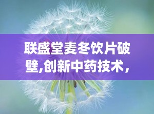 联盛堂麦冬饮片破壁,创新中药技术，助力健康养生新体验”