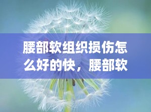 腰部软组织损伤怎么好的快，腰部软组织损伤的治疗方法