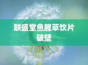 联盛堂鱼腥草饮片破壁