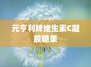 元亨利牌维生素C凝胶糖果
