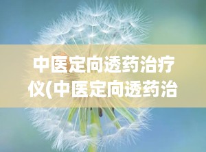 中医定向透药治疗仪(中医定向透药治疗仪的治疗原理功能是什么)