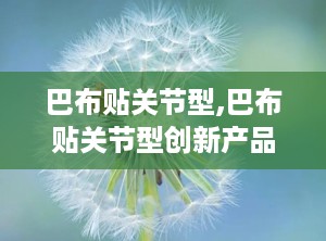 巴布贴关节型,巴布贴关节型创新产品解析与使用指南
