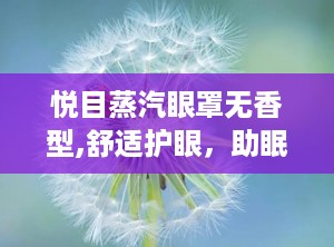 悦目蒸汽眼罩无香型,舒适护眼，助眠神器”