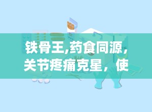 铁骨王,药食同源，关节疼痛克星，使用需注意胃溃疡禁忌”