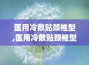 医用冷敷贴颈椎型,医用冷敷贴颈椎型全面解析