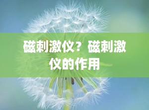 磁刺激仪？磁刺激仪的作用