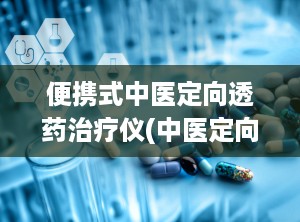 便携式中医定向透药治疗仪(中医定向透药治疗仪wnd-zz-2td)