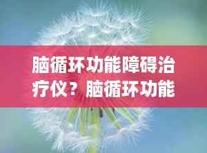 脑循环功能障碍治疗仪？脑循环功能障碍治疗仪价格
