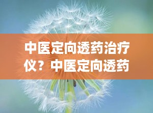 中医定向透药治疗仪？中医定向透药治疗仪厂家
