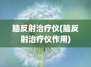 脑反射治疗仪(脑反射治疗仪作用)