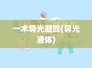 一术导光凝胶(导光液体)