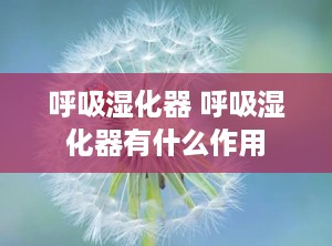 呼吸湿化器 呼吸湿化器有什么作用