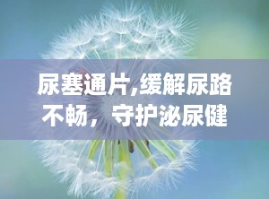 尿塞通片,缓解尿路不畅，守护泌尿健康新选择