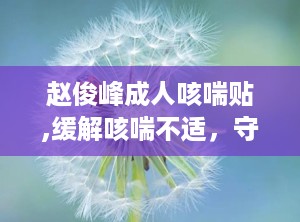 赵俊峰成人咳喘贴,缓解咳喘不适，守护您的健康呼吸