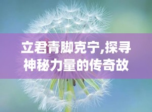 立君青脚克宁,探寻神秘力量的传奇故事
