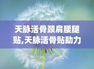 天脉活骨颈肩腰腿贴,天脉活骨贴助力健康生活