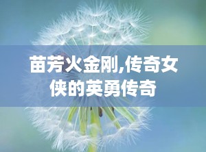 苗芳火金刚,传奇女侠的英勇传奇