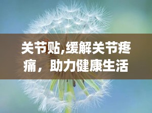 关节贴,缓解关节疼痛，助力健康生活新选择