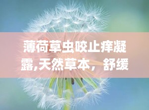 薄荷草虫咬止痒凝露,天然草本，舒缓肌肤不适