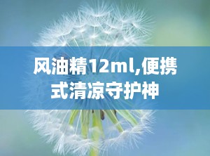 风油精12ml,便携式清凉守护神