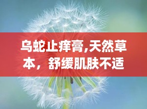 乌蛇止痒膏,天然草本，舒缓肌肤不适的秘密武器