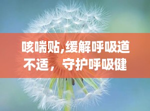 咳喘贴,缓解呼吸道不适，守护呼吸健康新选择