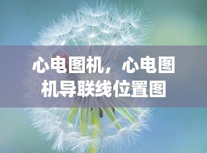 心电图机，心电图机导联线位置图