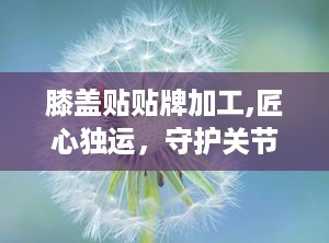 膝盖贴贴牌加工,匠心独运，守护关节健康新选择