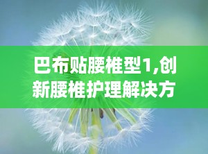 巴布贴腰椎型1,创新腰椎护理解决方案