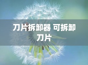 刀片拆卸器 可拆卸刀片