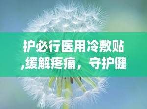 护必行医用冷敷贴,缓解疼痛，守护健康生活新选择