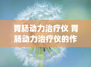 胃肠动力治疗仪 胃肠动力治疗仪的作用