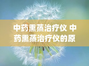 中药熏蒸治疗仪 中药熏蒸治疗仪的原理及作用