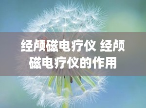 经颅磁电疗仪 经颅磁电疗仪的作用